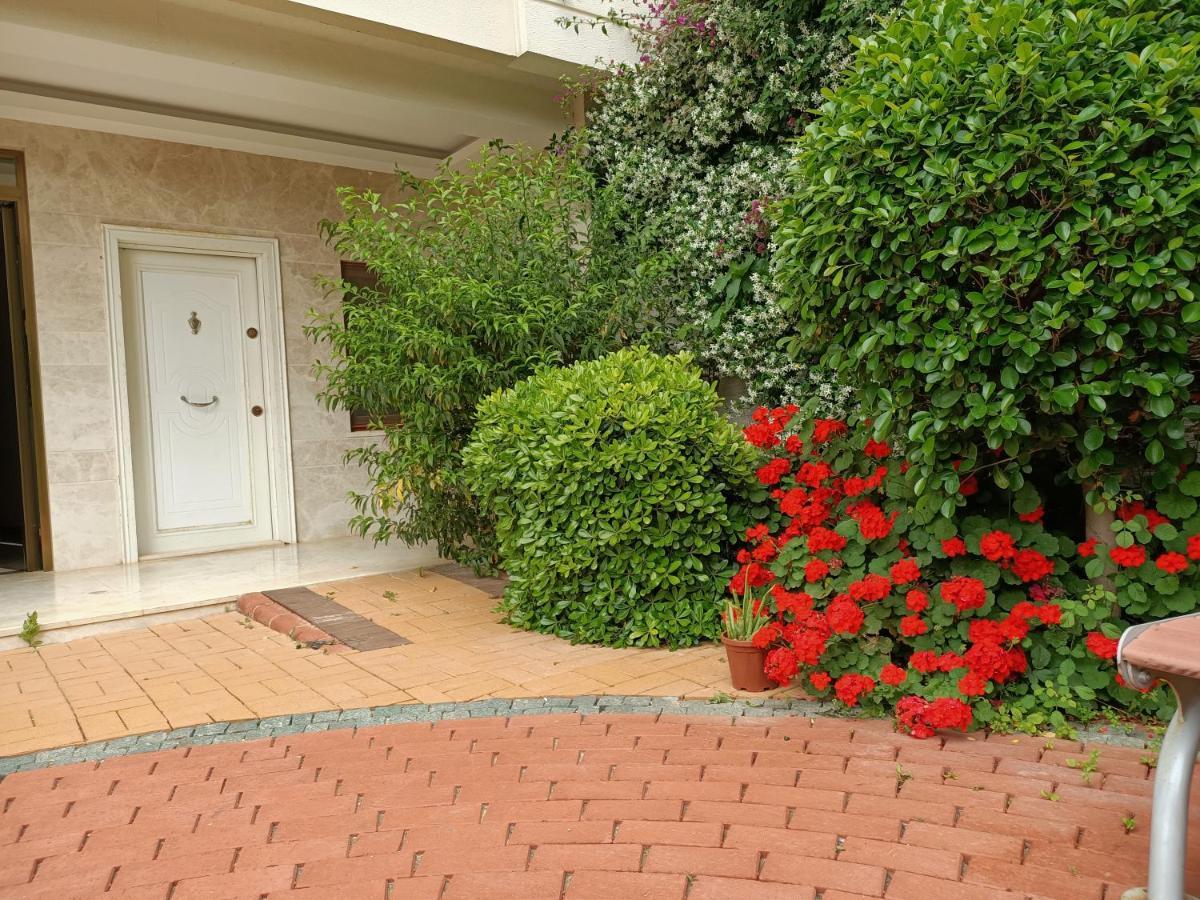 2-room In A Luxury Appartement *