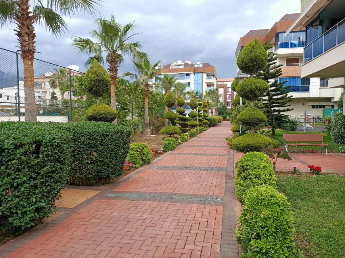 Daire 2-room In A Luxury *