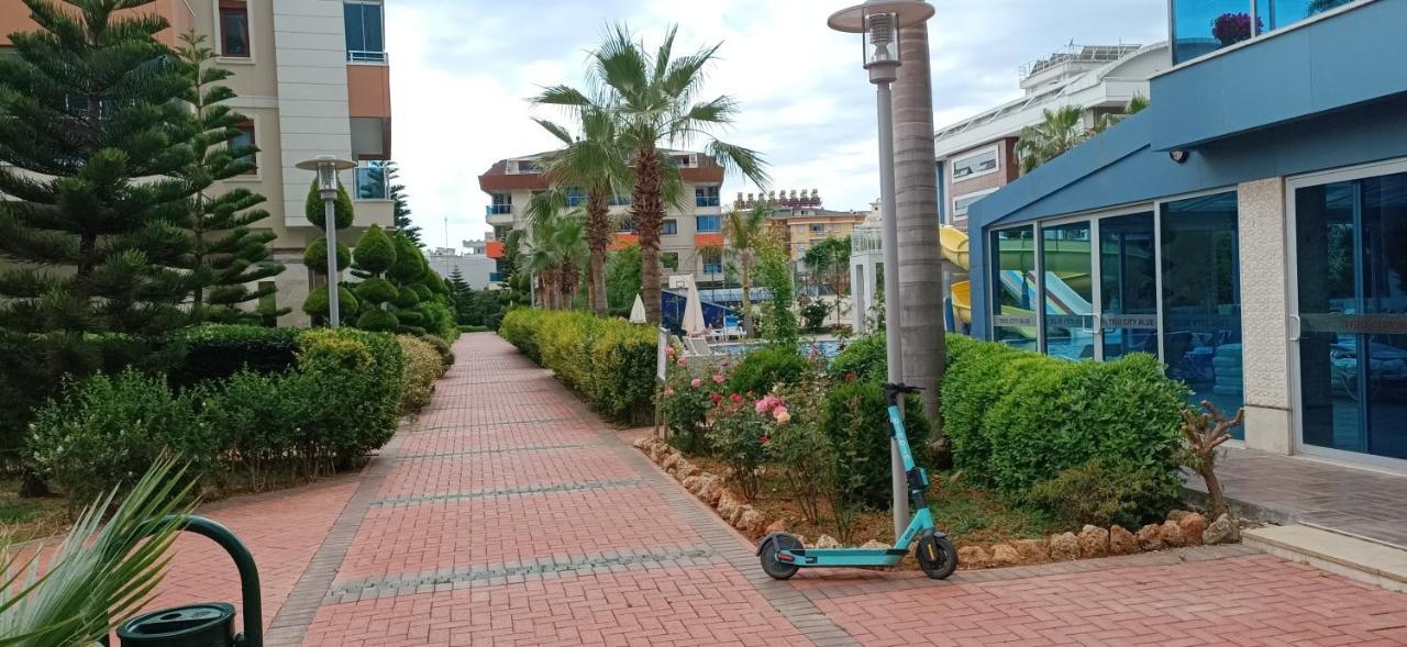 Apartament 2-room In A Luxury *